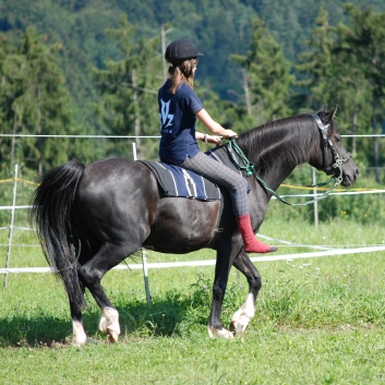 Relaxen und Entspannen auf den Ponys der CV Ponyfarm in Murrhardt - Hinterbchelberg 14