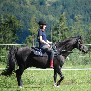 Relaxen und Entspannen auf den Ponys der CV Ponyfarm in Murrhardt - Hinterbchelberg 15