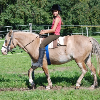 Relaxen und Entspannen auf den Ponys der CV Ponyfarm in Murrhardt - Hinterbchelberg 17