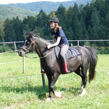 Relaxen und Entspannen auf den Ponys der CV Ponyfarm in Murrhardt - Hinterbchelberg 18