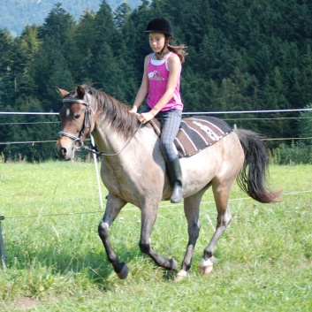 Relaxen und Entspannen auf den Ponys der CV Ponyfarm in Murrhardt - Hinterbchelberg 19